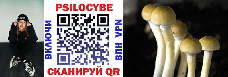 kraken ССЫЛКА Новодвинск нарко площадка формула Галлюциногенные грибы ЛСД